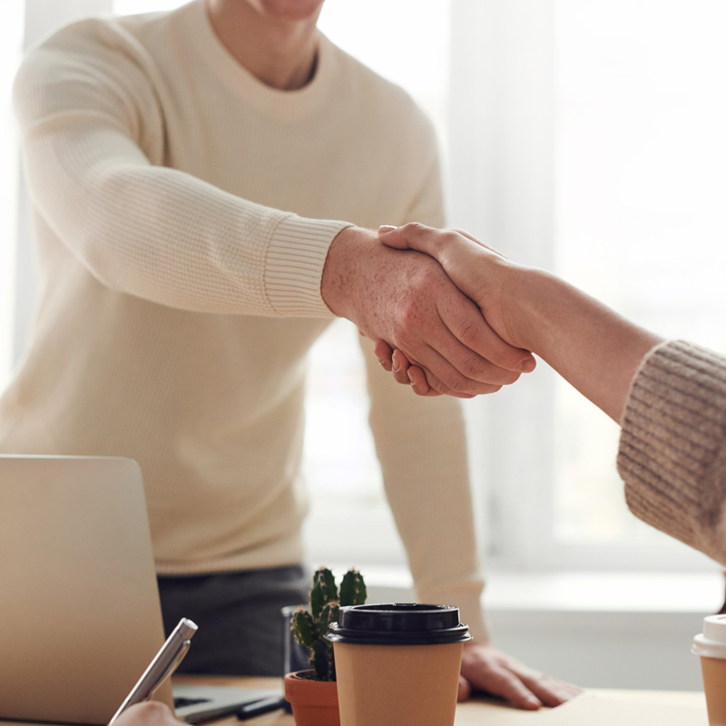 A close-up of two people shaking hands